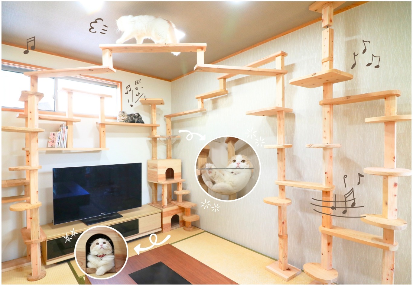 新商品メイン画像 (1).jpg